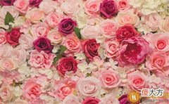 情感|金婚银婚祝福语,银婚的祝福语
