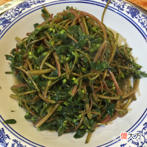 蚂蚱菜